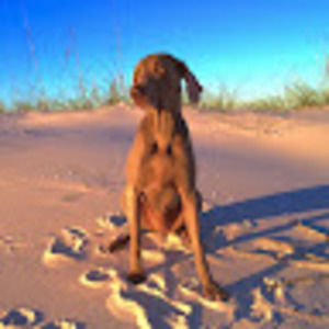 Meet your Posher, Mandy